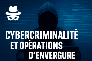 🕵️‍♂️ Cybercriminalité et opérations d’envergure : quand les autorités sortent les crocs