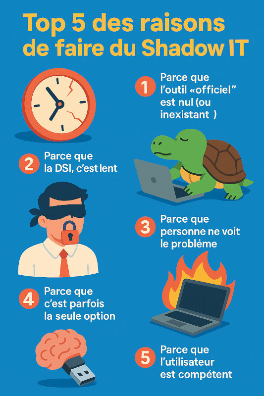 Les raisons du shadow it
