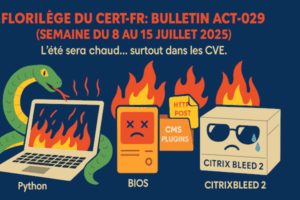 🔥 Florilège du CERT-FR — Bulletin ACT-029 (semaine du 8 au 15 juillet 2025)