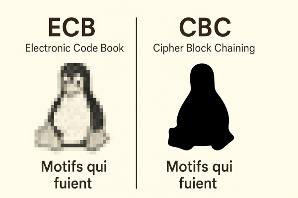 ECB vs CBC : motifs qui fuient